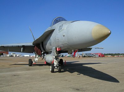 Do 'Hornet' ao 'Super Hornet' Apr17FA-18A_103