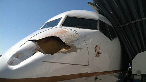 [Internacional] Avião é danificado ao ser atingido por pássaro em pouso nos EUA, diz TV  Ht_bird_strike_ll_120731_wblog
