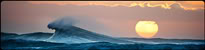 8º Concurso de Screenshots - Votação e Resultados - Página 4 Panoramic_show_wave-1