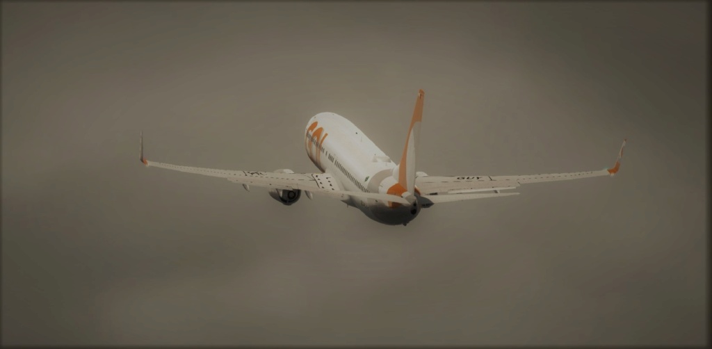 737-800 GOL 737-8014