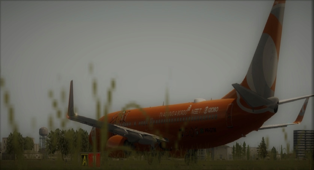 737-800 GOL Gol_gt10