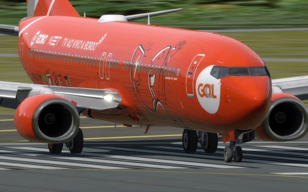 737-800 GOL Gtm10